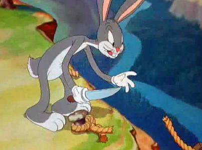 Tortoise Wins by a Hare