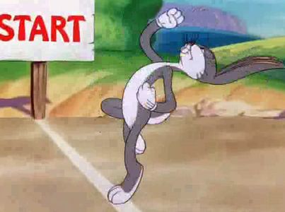 Tortoise Wins by a Hare
