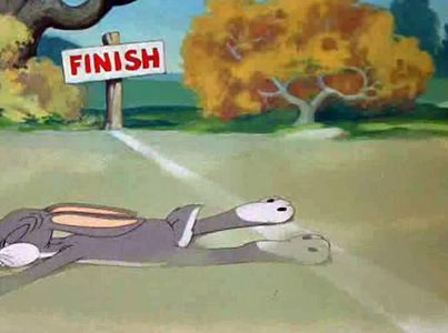 Tortoise Wins by a Hare