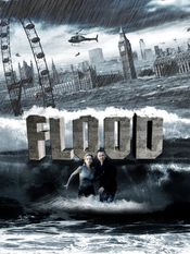Poster Flood