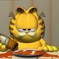 Garfield Gets Real/Aventurile lui Garfield în lumea reală