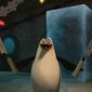 Foto 7 The Madagascar Penguins in: A Christmas Caper