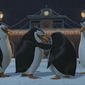 Foto 14 The Madagascar Penguins in: A Christmas Caper