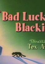 Bad Luck Blackie