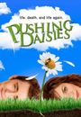 Film - Pushing Daisies
