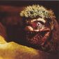 Foto 12 Critters 2: The Main Course