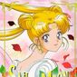 Poster 2 Bishojo senshi Sailor Moon R: The Movie