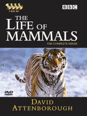 Poster The Life of Mammals