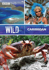 Wild Caribbean poster