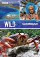 Film - Wild Caribbean