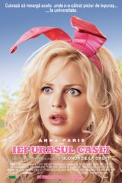 Poster The House Bunny