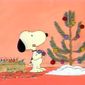 Foto 25 Charlie Brown's Christmas Tales