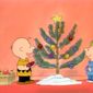 Foto 13 Charlie Brown's Christmas Tales