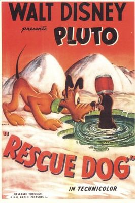 Rescue Dog poster