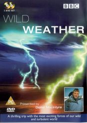 Poster Wild Weather