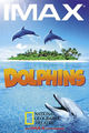 Film - Dolphins