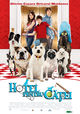 Film - Hotel for Dogs