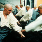 Imagine din galeria filmului American Shaolin