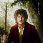 Poster 32 The Hobbit: An Unexpected Journey