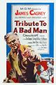 Film - Tribute to a Bad Man