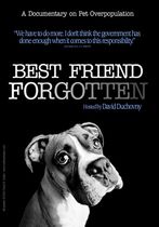 Best Friend Forgotten