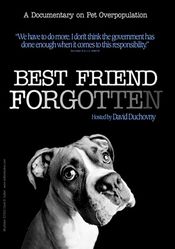 Poster Best Friend Forgotten