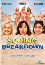 Spring Breakdown poster