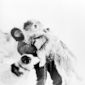 Foto 3 The Endurance: Shackleton's Legendary Antarctic Expedition