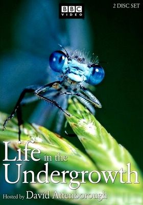 Life in the Undergrowth poster