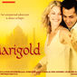 Poster 4 Marigold