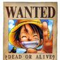 Poster 93 One Piece