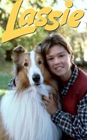 Poster Lassie Saves Timmy