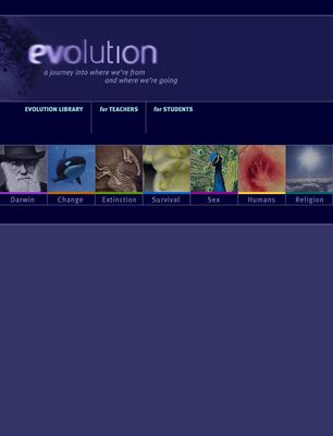 Evolution poster