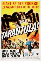 Poster Tarantula