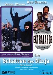 Poster Extralarge: Ninja Shadow