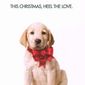Poster 5 Marley & Me