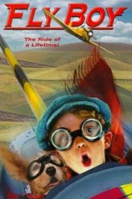 Fly Boy poster