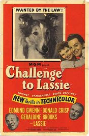 Poster Challenge to Lassie