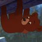 Foto 25 Brother Bear 2