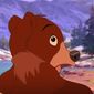 Foto 5 Brother Bear 2
