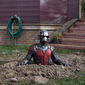 Foto 2 Ant-Man