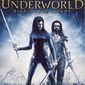 Poster 3 Underworld: Rise of the Lycans