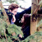 Foto 48 Kristen Stewart, Robert Pattinson în Twilight