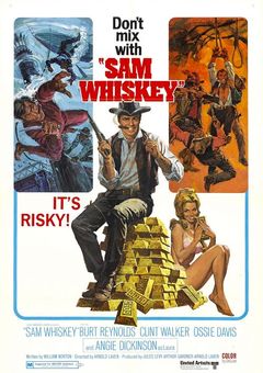 Sam Whiskey online subtitrat