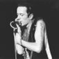 Joe Strummer: The Future is Unwritten/Joe Strummer: viitorul e nescris