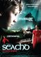 Film Seachd: The Inaccessible Pinnacle