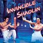 Poster 3 Nan Shao Lin yu bei Shao Lin
