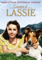 Curajul lui Lassie