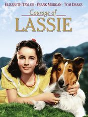 Poster Courage of Lassie