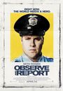 Film - Observe and Report
